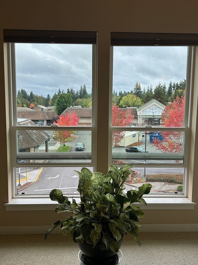 Building Photo - Island Crossings on Bainbridge Island