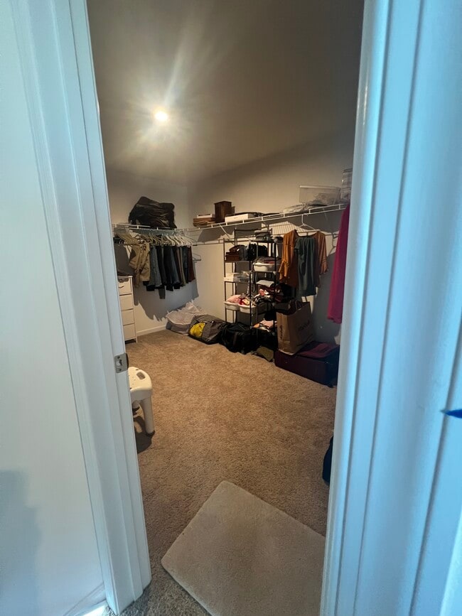 Building Photo - 230 Newbury St