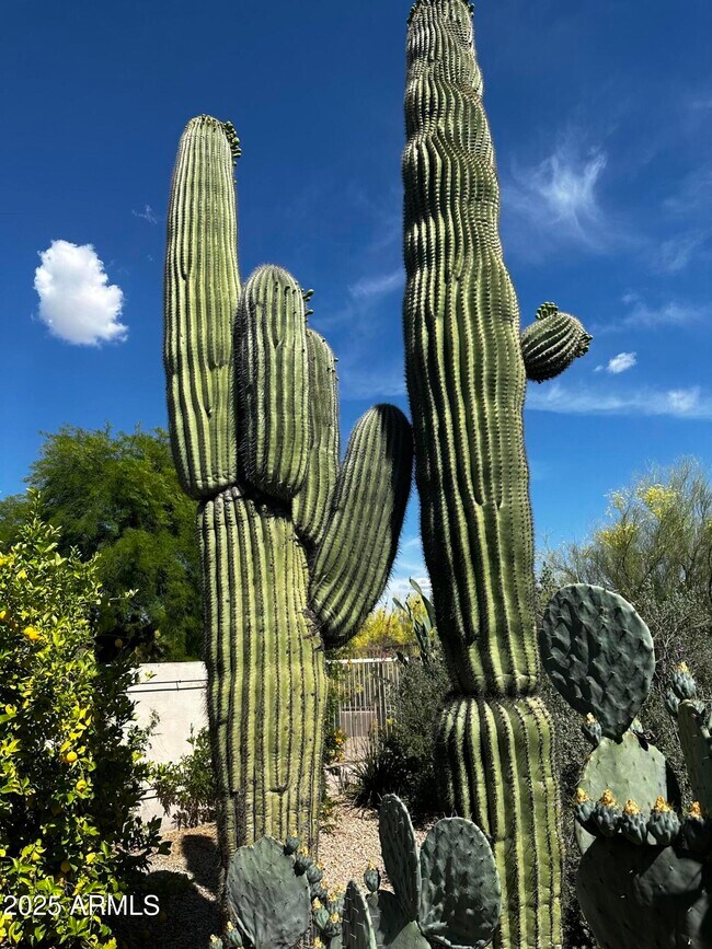 Building Photo - 6867 E Crimson Sky Trail