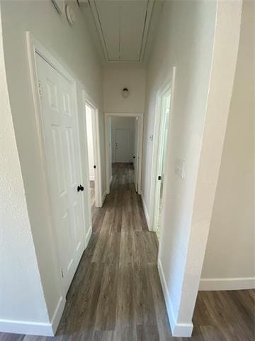 Building Photo - 109 Misty Ct