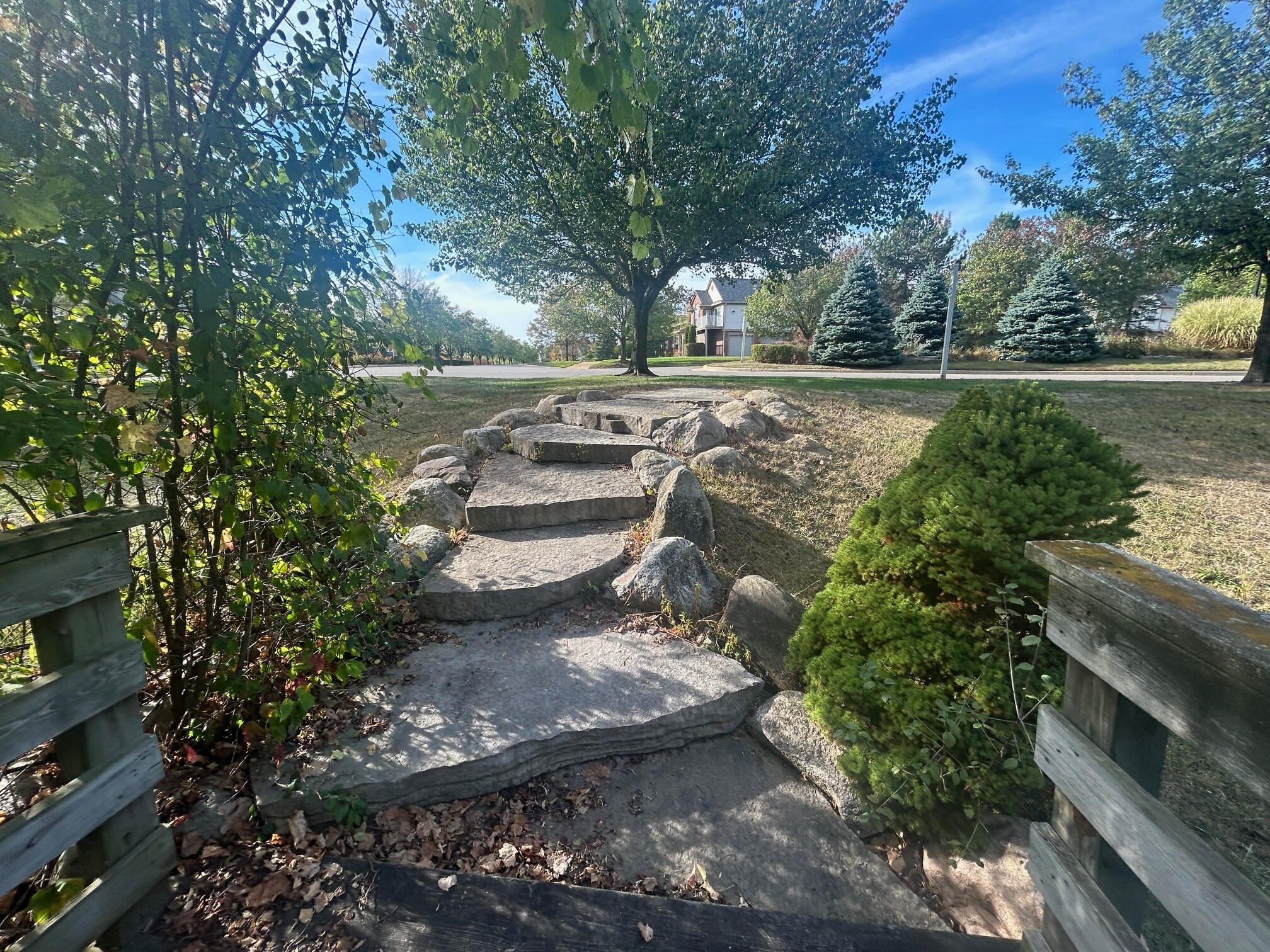 Building Photo - 3608 Oakmonte Blvd