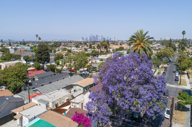 Building Photo - 1809 W 37th Pl