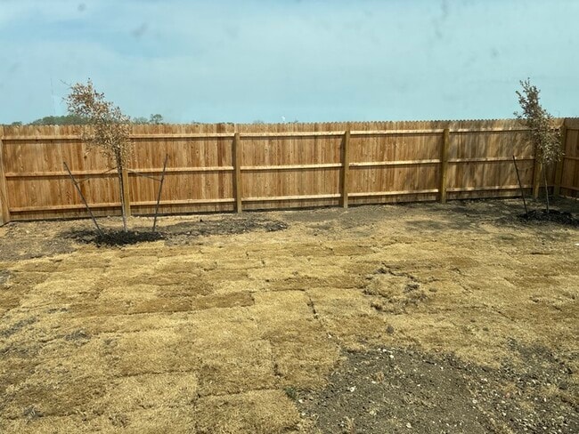 Building Photo - Charming 4 beds 2 baths in San Antonio!