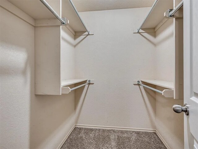 Building Photo - 1025 Switzerland Ave