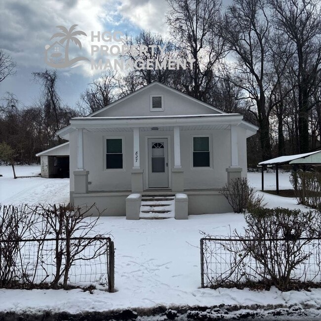 Building Photo - 827 Moore St