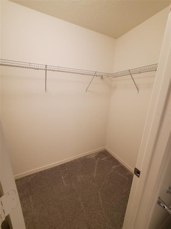 Building Photo - 2058 Ficus St