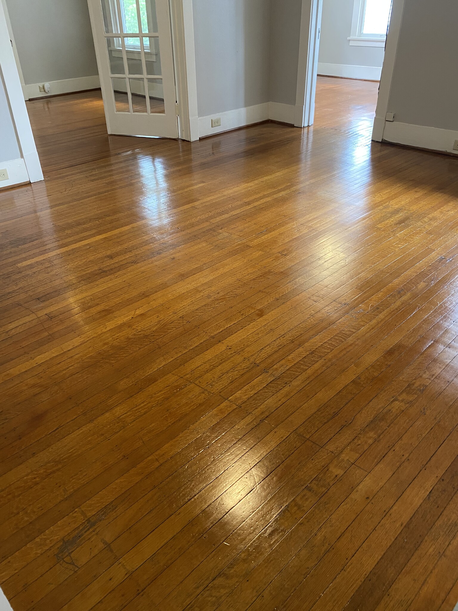 Living Room - 812 Branard St