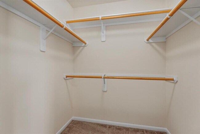 Building Photo - 2742 Windy Thicket Ln