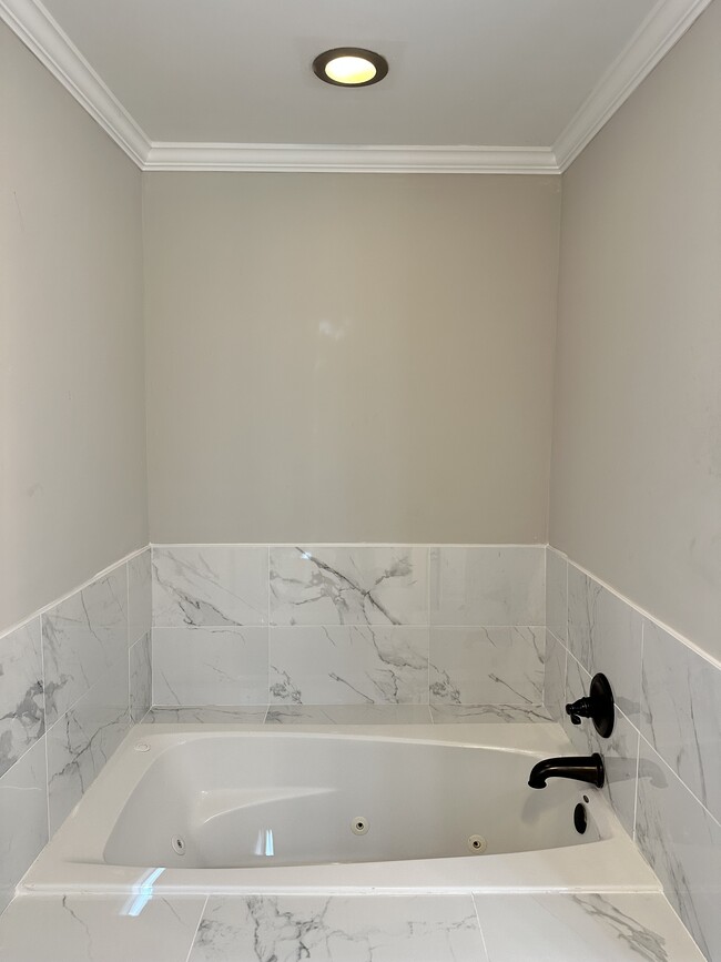 Master Bath Jacuzzi Tub - 1430 Orlando St SW