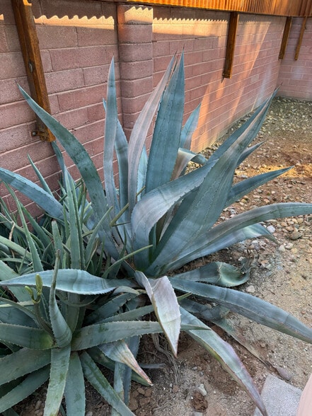 Building Photo - 5564 E Camden St