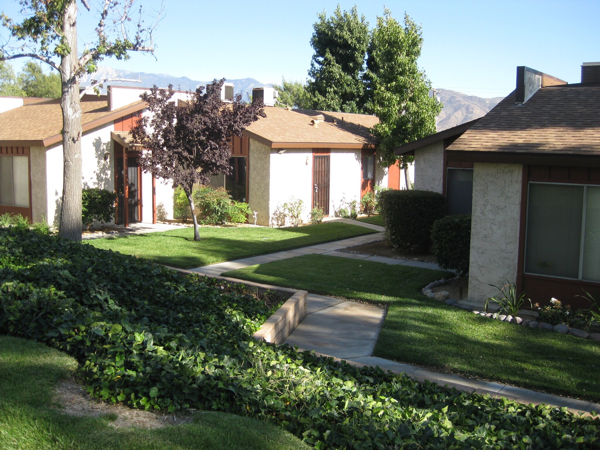 Building Photo - 1329 Vista Serena Ave
