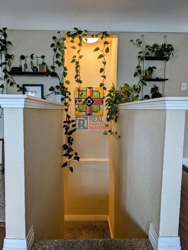 Building Photo - 908 Wolff St