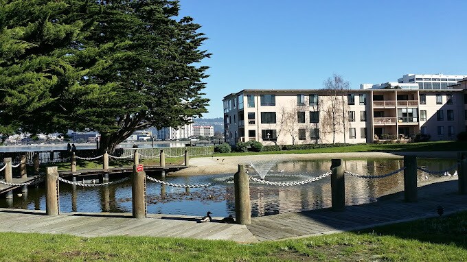 Pond - 4 Admiral Dr