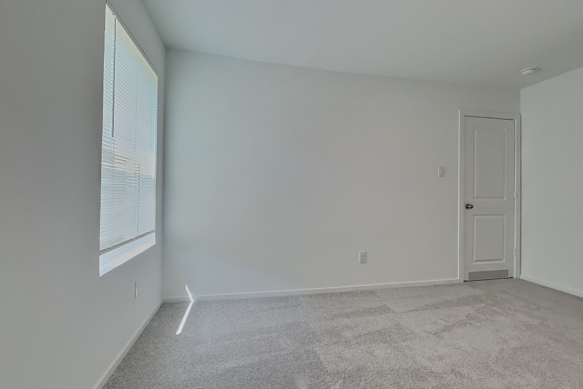 Building Photo - 936 Capracotta Dr