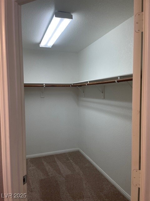 Building Photo - 3808 Sterling Crest Pl