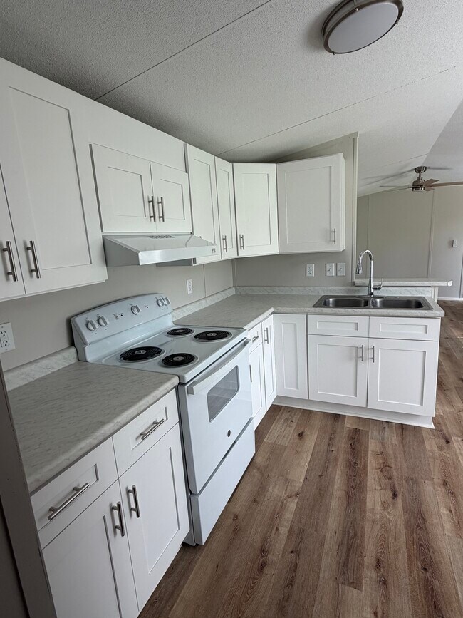Building Photo - 3 bed 2 bath Collins GA