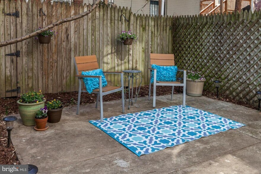 Backyard/Garden Area - 776 Harvard St NW