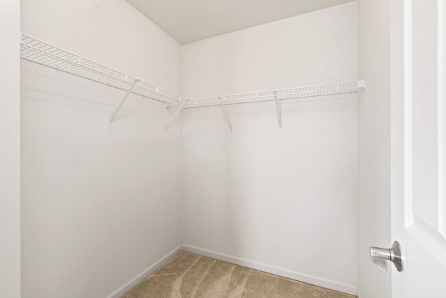 Building Photo - 3568 Gabrielle Ln