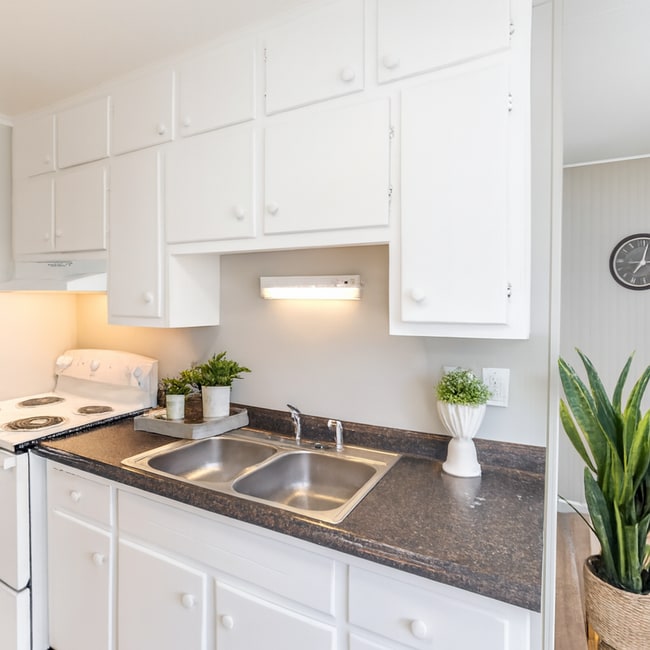 Building Photo - Charming 3-Bedroom Home – Modern, Clean & Carpet-Free!