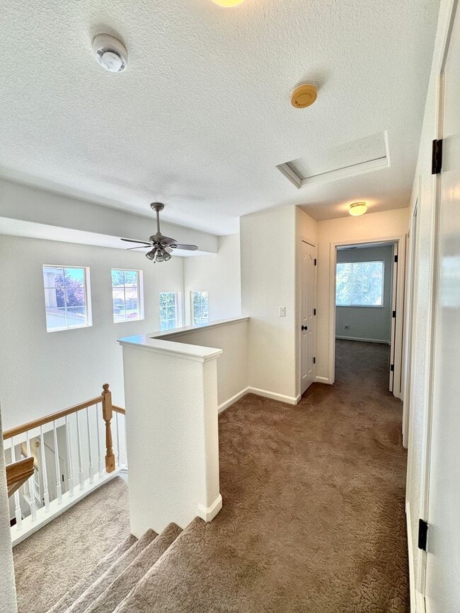 Building Photo - 2520 Napoli Dr