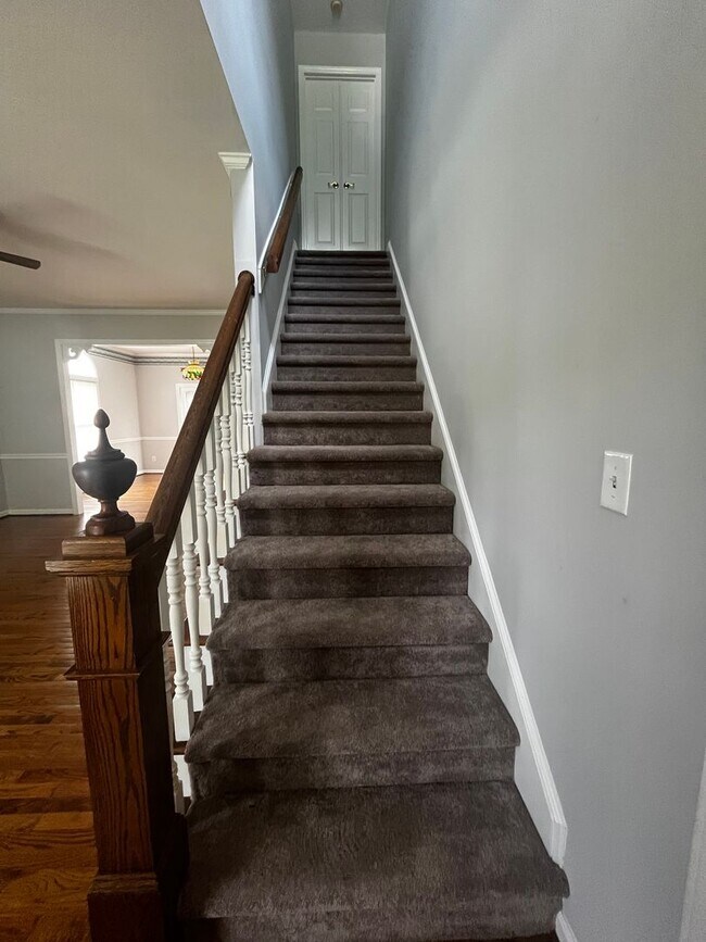 Building Photo - Three Bedroom located in the Ghent Neighborhood