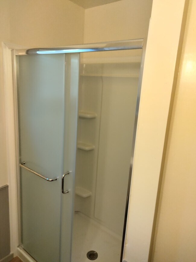 downstairs bathroom shower--brand new - 415 S 5th Ave