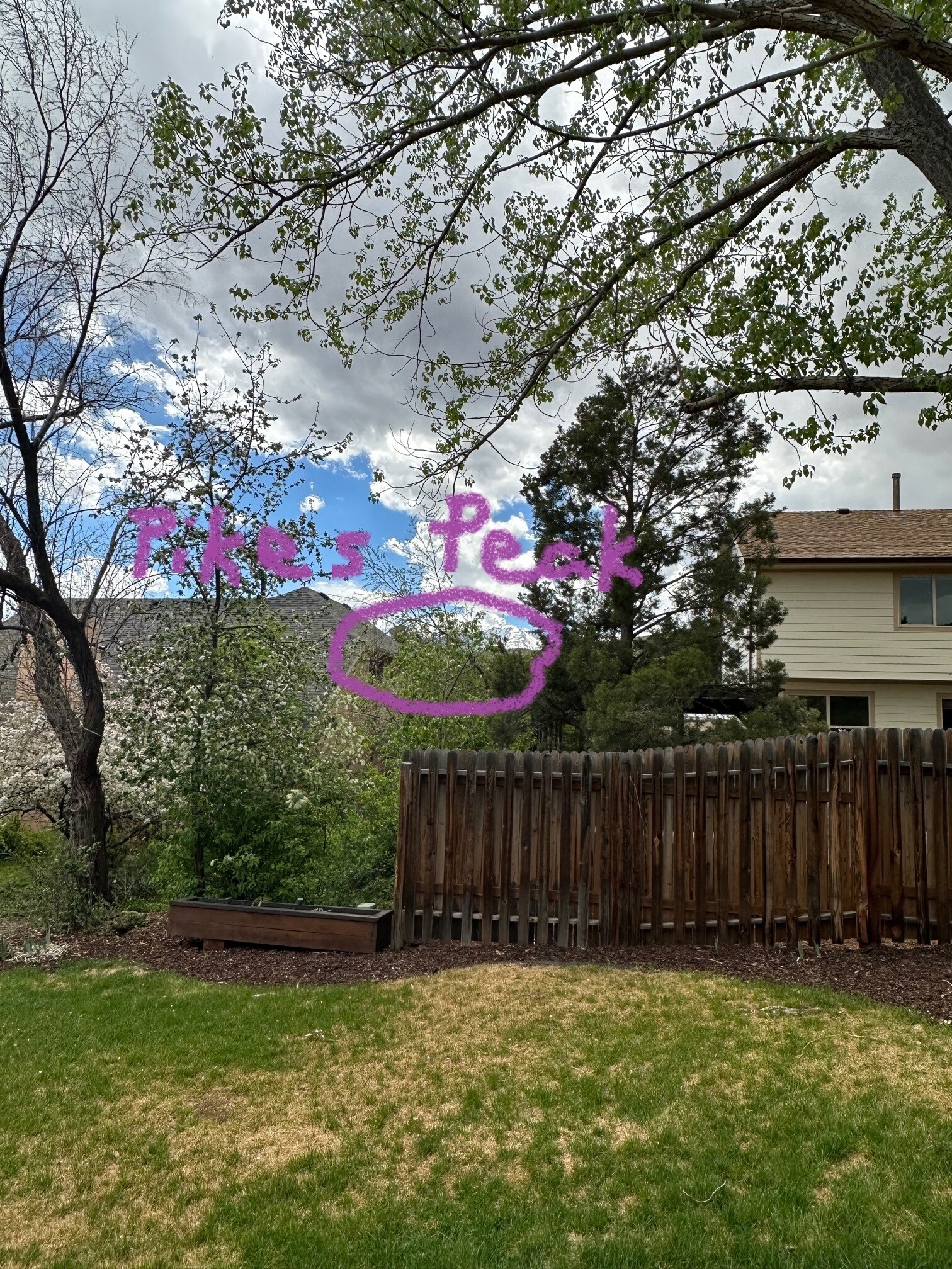 Winter view of Pikes Peak from DR - 5165 Granby Cir