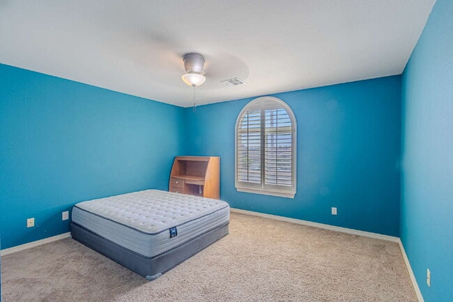 Building Photo - 3240 Peruvian Paso