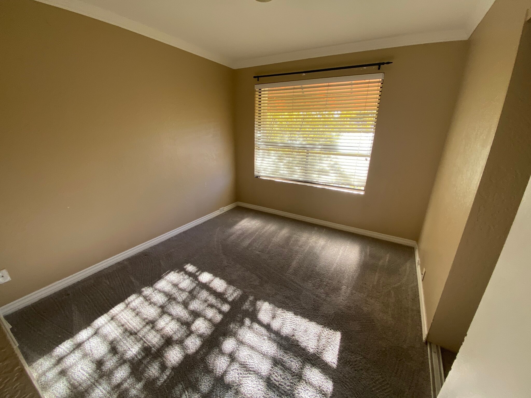 Bedroom 2 - 1802 E Frier Dr