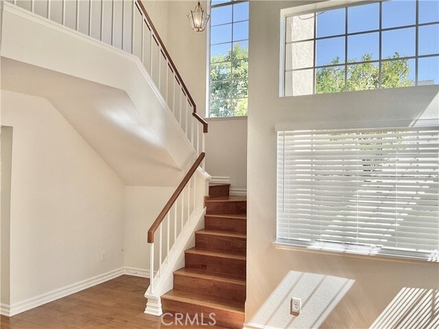 Building Photo - 26161 Owl Ct
