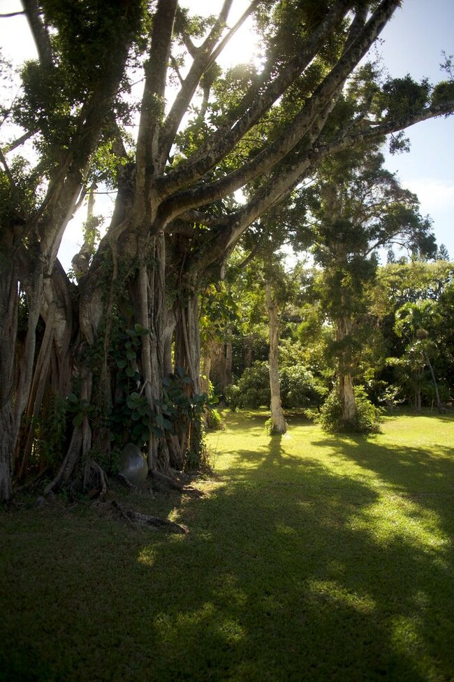 Building Photo - A Modernist Tropical Haven on Maui’s North...