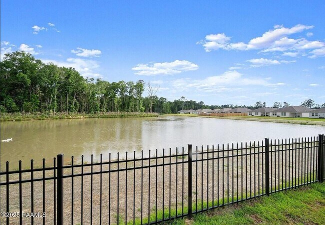 Building Photo - 35326 Grovemont Dr