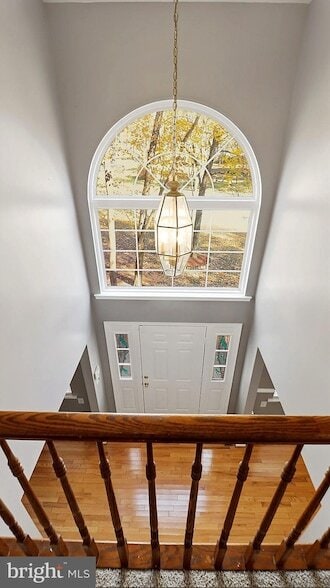 Building Photo - 14101 Kathleen Ln