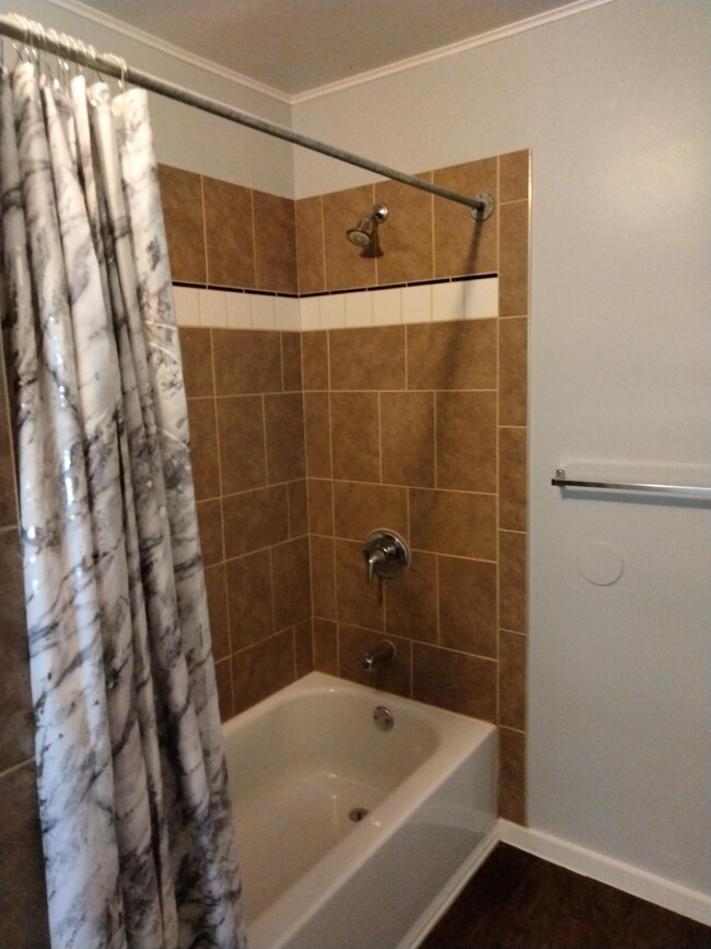 Bathroom - 1908 W. Cleveland Ave