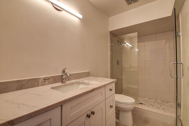 Building Photo - Luxurious 4 bedroom, 3 bath pool home.