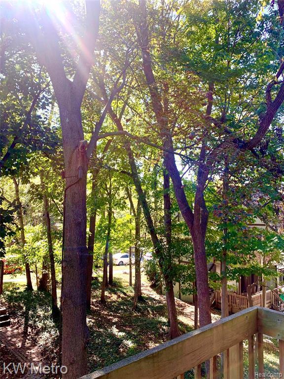 Building Photo - 808 Jones Dr