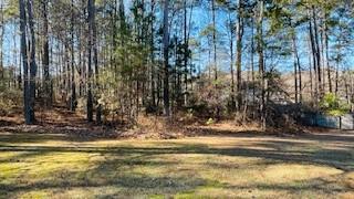 Building Photo - 1468 Sierra Ridge Pl SE