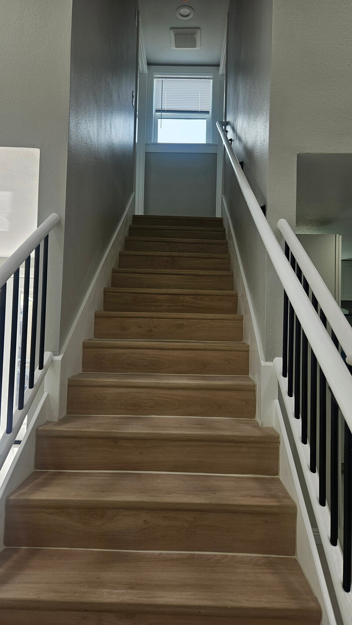 Building Photo - 4769 Soria Dr