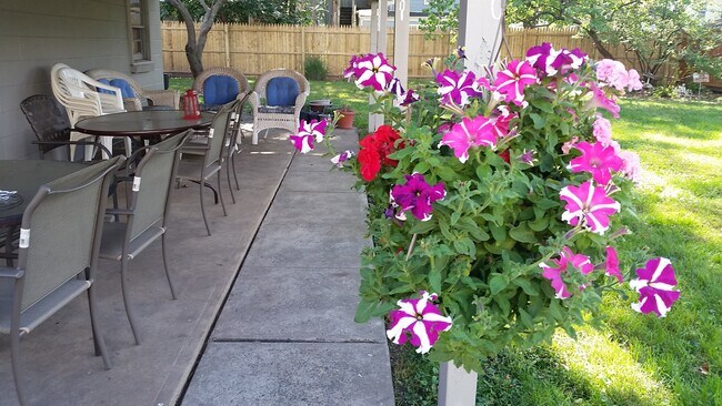 Patio - 776 Union St