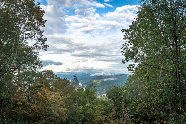 Building Photo - 401 Lookout Dr