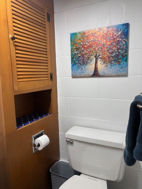 Basement toilet room - 1001 Sunset Ave