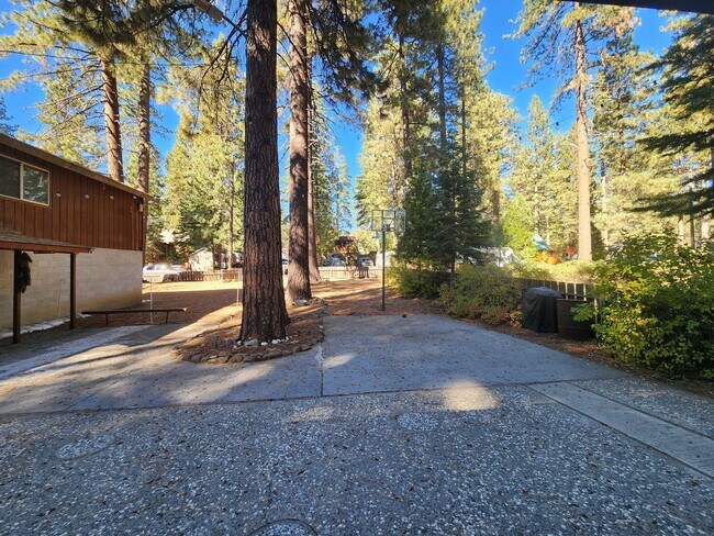 Building Photo - SKI LEASE: Close to Bus Line, Full Kitchen, 2 Living Areas