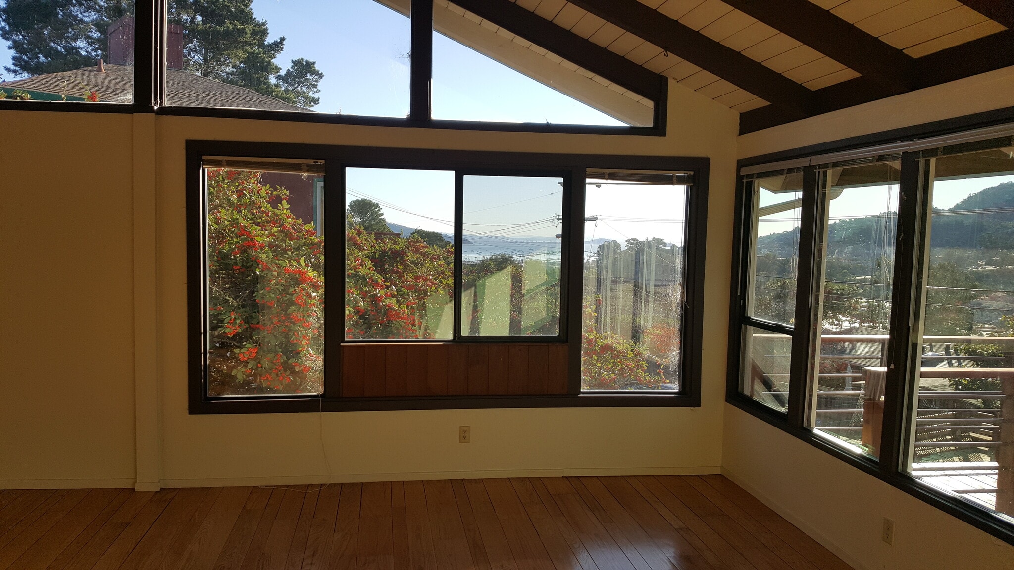 Side window from Livingroom - 77 Buckelew St