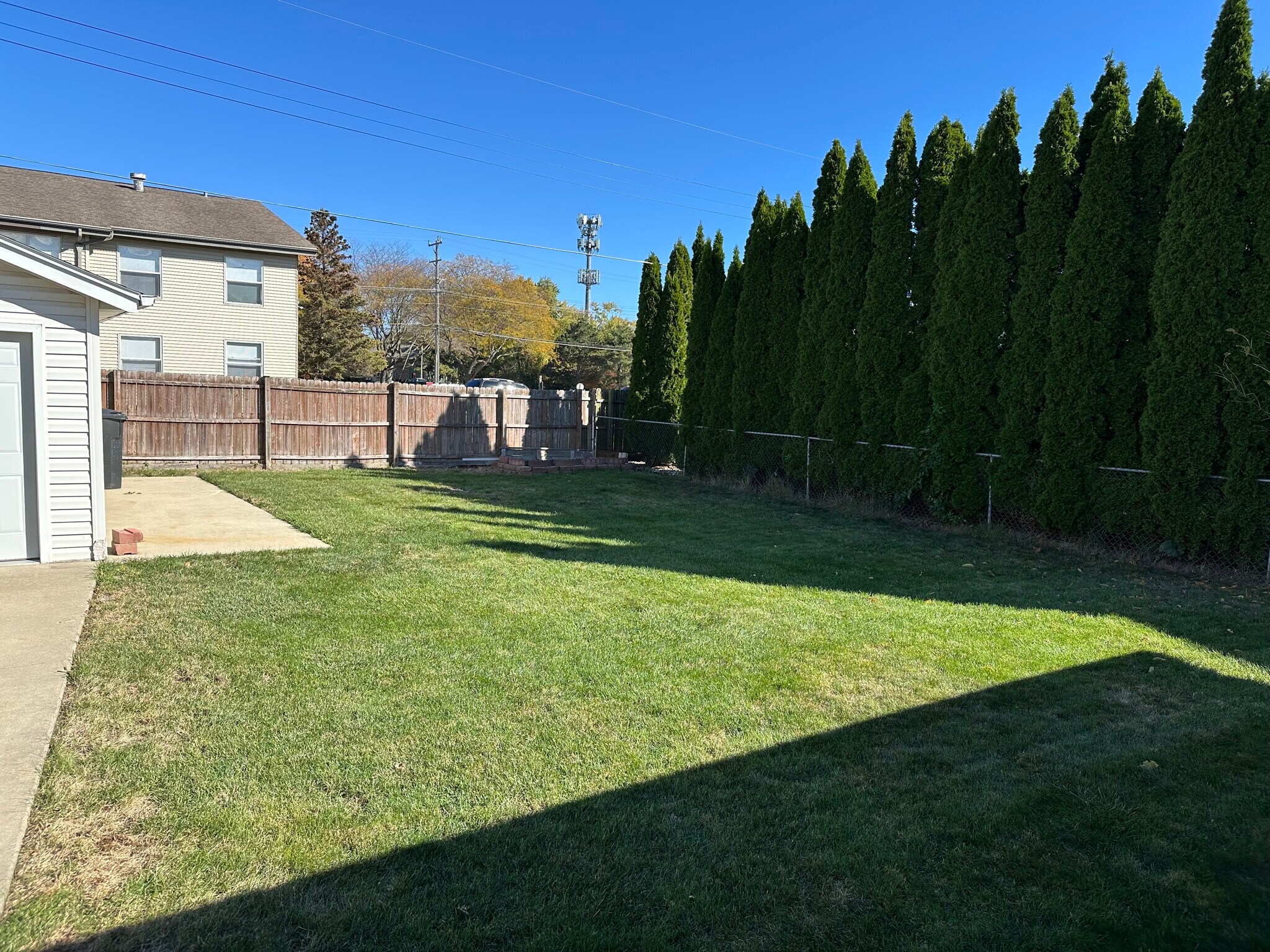 Backyard - 1765 Madison Rd