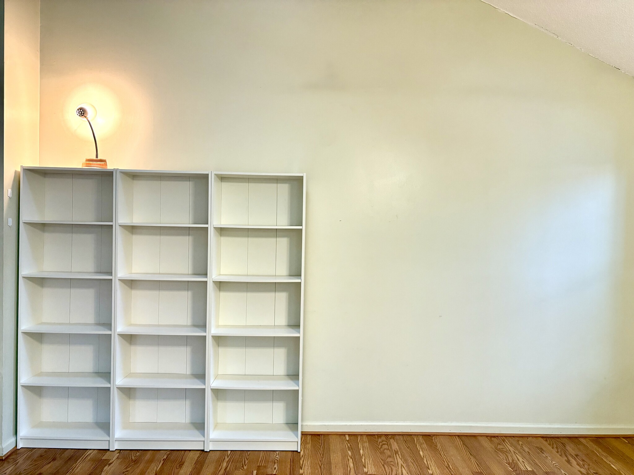 ‘Built-in’ bookshelves offer ample storage for books and knickknacks - 208 Quarter Trl