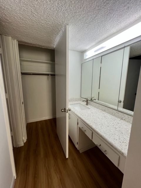 Primary Bathroom Vanity and Closet - 6435 Green Valley Cir