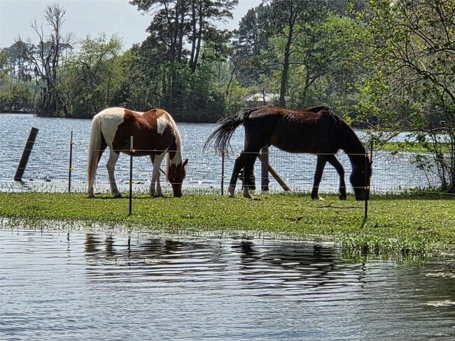 Building Photo - 15058 Lake Paula Dr