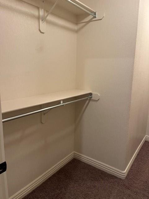 Building Photo - 117 Carrington Ave