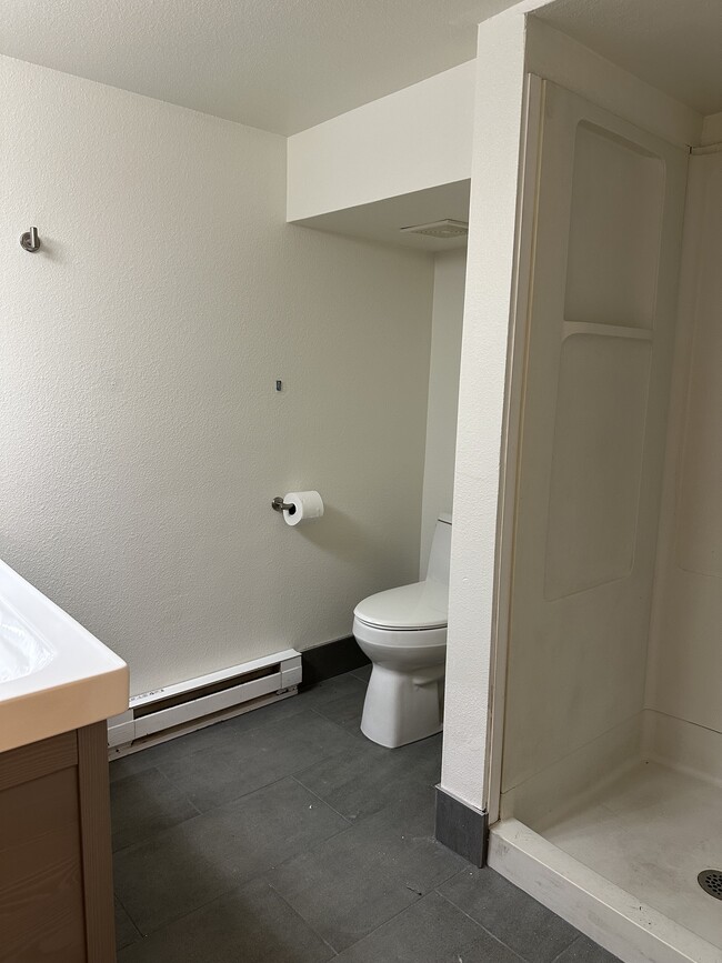 Updated bathroom with double sink vanity and shower - 1137 E Platte Ave