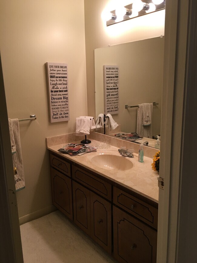 Large 1/2 bath downstairs - 100 Michael Dr